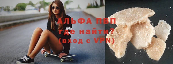 шишки Заволжье