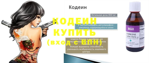 шишки Заволжье