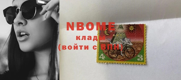 шишки Заволжье