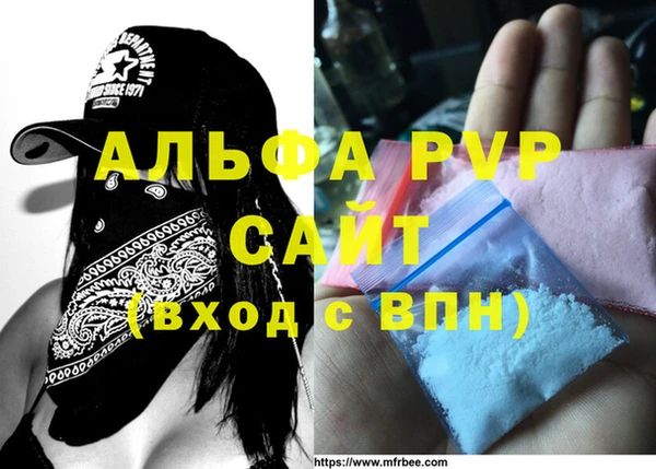 шишки Заволжье