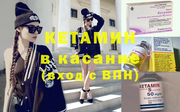 шишки Заволжье