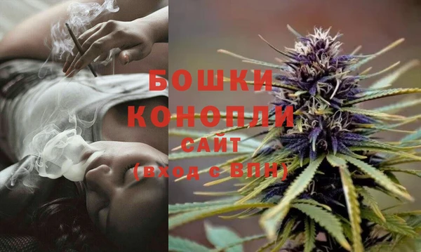 шишки Заволжье