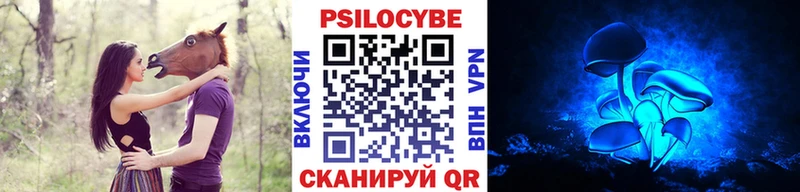Псилоцибиновые грибы Psilocybe  Купить  Кувшиново 